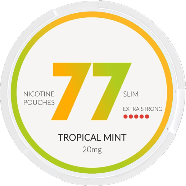 77 POUCHES Tropical Mint
