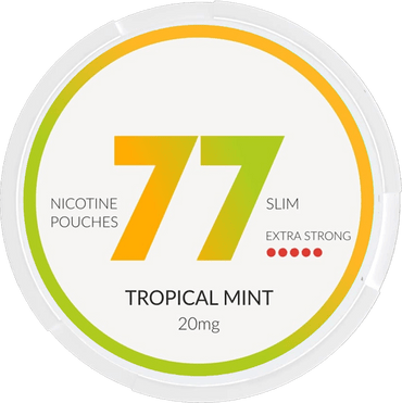 77 POUCHES Tropical Mint