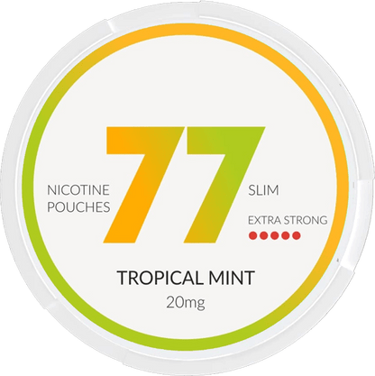 77 POUCHES Tropical Mint